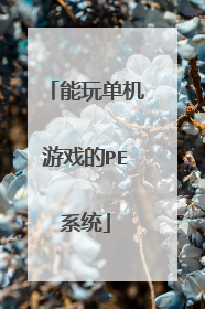 能玩单机游戏的PE系统