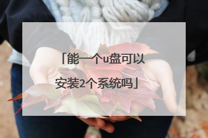 能一个u盘可以安装2个系统吗