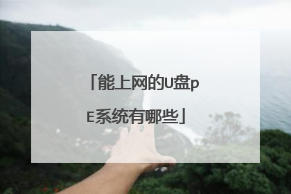 能上网的U盘pE系统有哪些