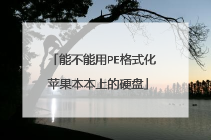 能不能用PE格式化苹果本本上的硬盘