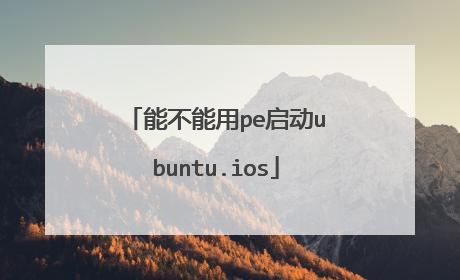 能不能用pe启动ubuntu.ios