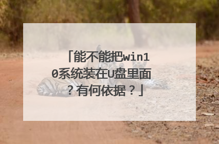 能不能把win10系统装在U盘里面?有何依据?