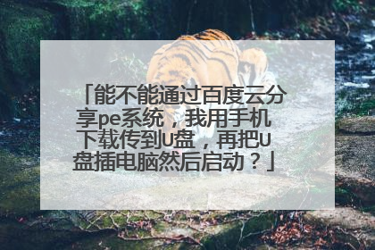 能不能通过百度云分享pe系统,我用手机下载传到U盘,再把U盘插电脑然后启动?