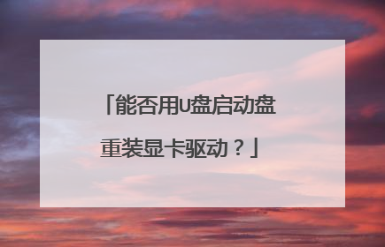 能否用U盘启动盘重装显卡驱动?