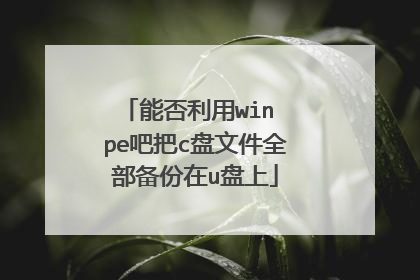 能否利用win pe吧把c盘文件全部备份在u盘上