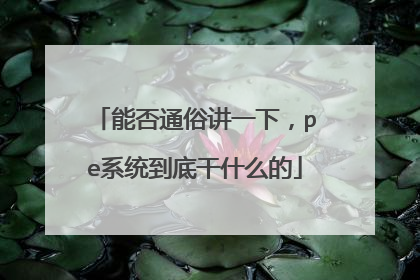 能否通俗讲一下,pe系统到底干什么的