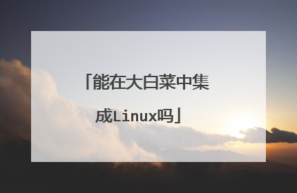 能在大白菜中集成Linux吗