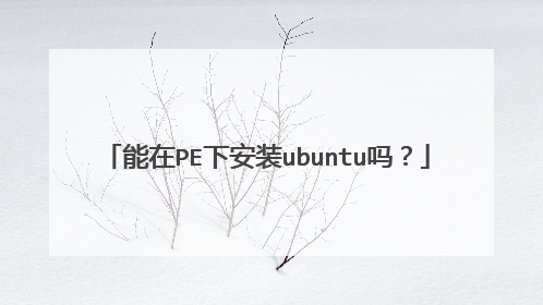 能在PE下安装ubuntu吗?