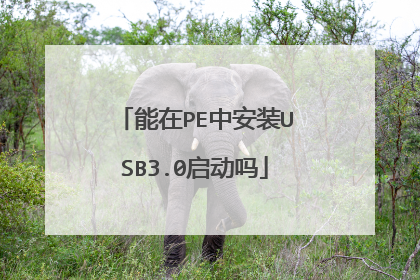 能在PE中安装USB3.0启动吗