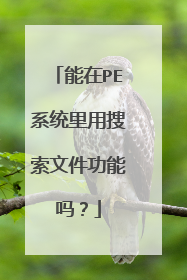能在PE系统里用搜索文件功能吗?