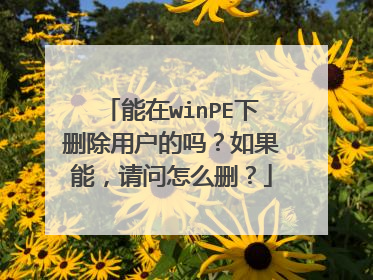 能在winPE下删除用户的吗?如果能,请问怎么删?