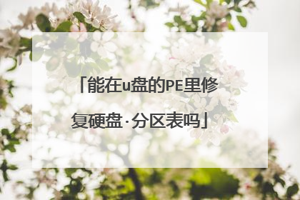 能在u盘的PE里修复硬盘·分区表吗