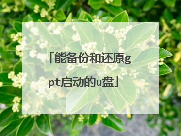 能备份和还原gpt启动的u盘