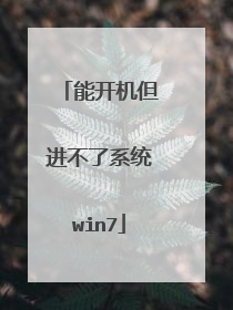 能开机但进不了系统win7