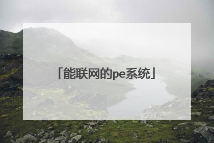 能联网的pe系统