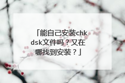 能自己安装chkdsk文件吗?又在哪找到安装?