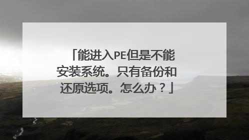 能进入PE但是不能安装系统。只有备份和还原选项。怎么办?