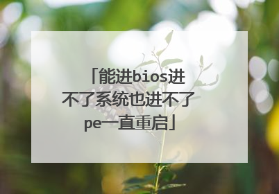 能进bios进不了系统也进不了pe一直重启
