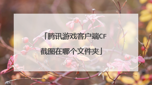 腾讯游戏客户端CF截图在哪个文件夹