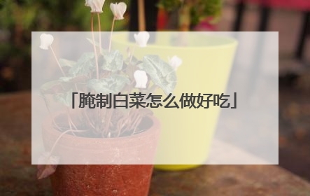 腌制白菜怎么做好吃