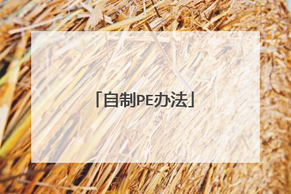 自制PE办法