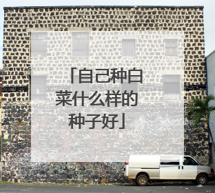 自己种白菜什么样的种子好