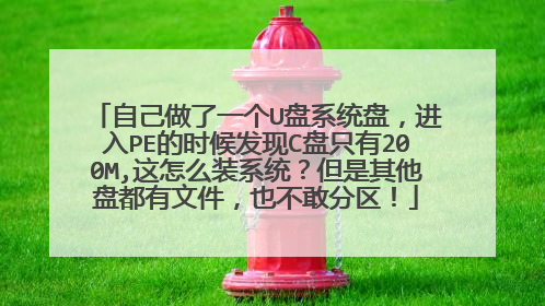 自己做了一个U盘系统盘，进入PE的时候发现C盘只有200M,这怎么装系统？但是其他盘都有文件，也不敢分区！