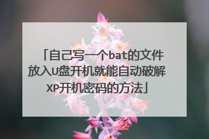 自己写一个bat的文件放入U盘开机就能自动破解XP开机密码的方法
