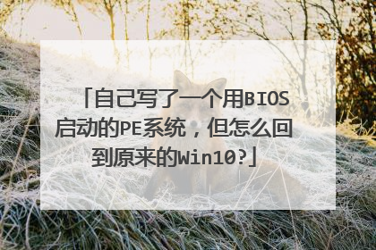 自己写了一个用BIOS启动的PE系统，但怎么回到原来的Win10?