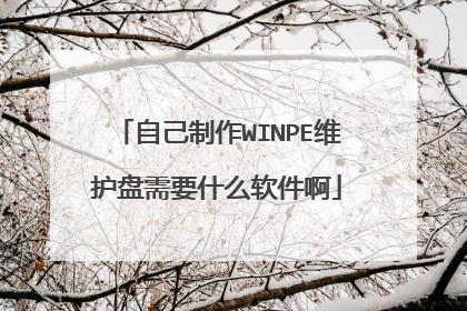 自己制作WINPE维护盘需要什么软件啊