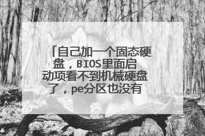 自己加一个固态硬盘,BIOS里面启动项看不到机械硬盘了,pe分区也没有机械盘?怎么搞?