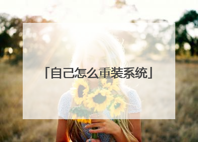 自己怎么重装系统
