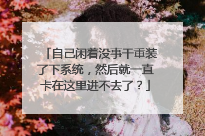 自己闲着没事干重装了下系统，然后就一直卡在这里进不去了？