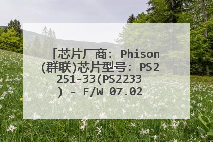 芯片厂商: Phison(群联)芯片型号: PS2251-33(PS2233) - F/W 07.02.10 金士顿优盘写保护