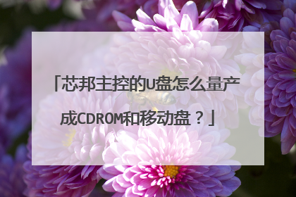 芯邦主控的U盘怎么量产成CDROM和移动盘?