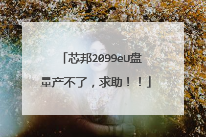 芯邦2099eU盘量产不了,求助!!