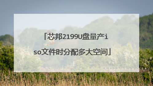 芯邦2199U盘量产iso文件时分配多大空间
