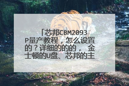 芯邦CBM2093P量产教程,怎么设置的?详细的的的, 金士顿的U盘、芯邦的主控、 急急急急急急
