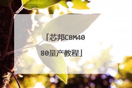 芯邦CBM4080量产教程