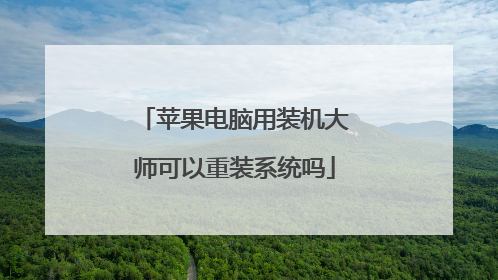 苹果电脑用装机大师可以重装系统吗