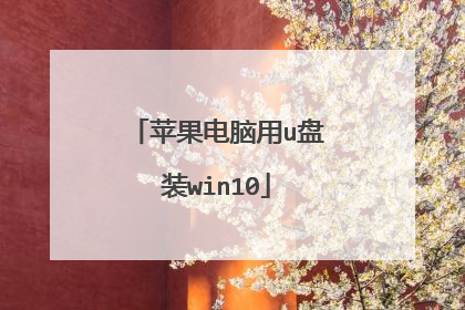 苹果电脑用u盘装win10