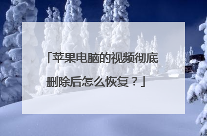 苹果电脑的视频彻底删除后怎么恢复?