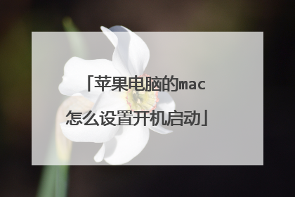 苹果电脑的mac怎么设置开机启动