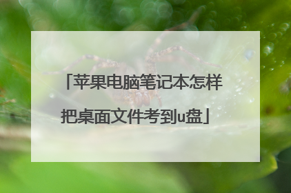 苹果电脑笔记本怎样把桌面文件考到u盘