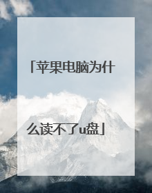 苹果电脑为什么读不了u盘