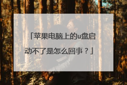 苹果电脑上的u盘启动不了是怎么回事？