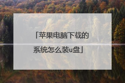 苹果电脑下载的系统怎么装u盘