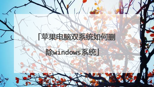 苹果电脑双系统如何删除windows系统