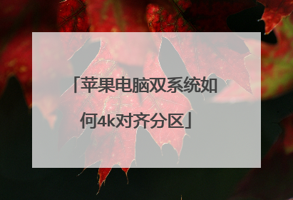 苹果电脑双系统如何4k对齐分区
