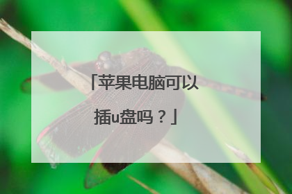 苹果电脑可以插u盘吗?
